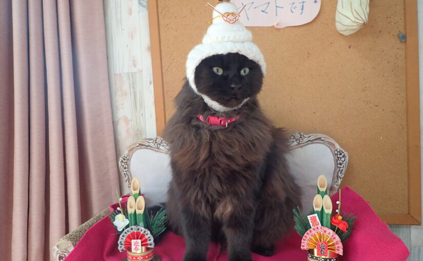 ２０２６年　海　運　　